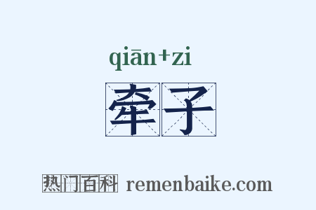 牵子是什么意思的图片